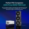ASUS Prime GeForce RTX 5060 8GB GDDR7 Gaming Grafische kaart (Nvidia GeForce RTX5060 DLSS 4, 2.5-sleuf ontwerp, PCIe 5.0, 3X DisplayPort 2.1b, 1x HDMI 2.1b, PRIME-RTX5060-8G)