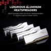 G.SKILL Trident Z5 Royal Neo Series (AMD Expo) DDR5 RAM 32GB (2x16GB) 8000MT/s CL38-48-48-128 1.45V Desktop Computer Memory UDIMM - Silver (F5-8000J3848H16GX2-TR5NS)