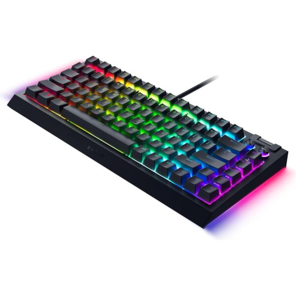 Razer BlackWidow V4 75% - Mechanical Gaming Keyboard with RGB Lighting (Special Macro Keys, Double-shot ABS Key Cap, Switch Click Sound, Scroll Wheel and Media Key) US-Layout |...
